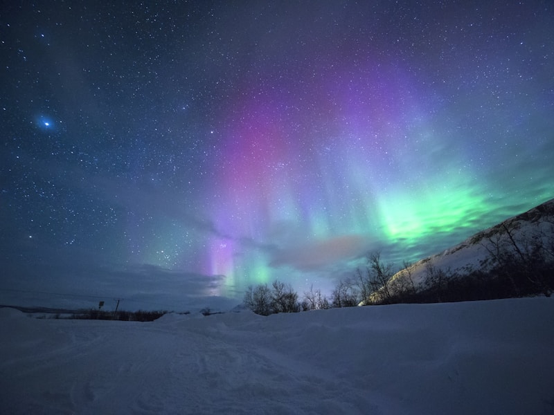 Swiss Alps Adventure